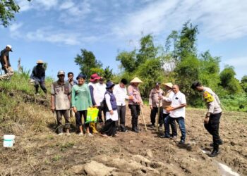 Kapolsek Dewantara Gerakkan Sektor Pertanian untuk Tingkatkan Ketahanan Pangan