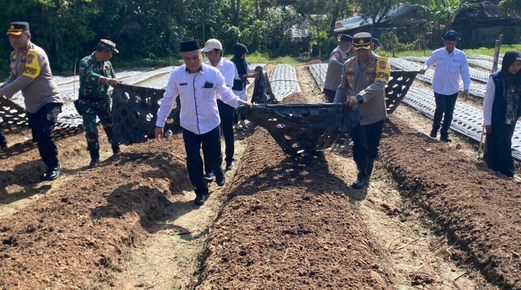 Kapolres Lhokseumawe dan Muspida Tanam Bawang Merah untuk Dukung Ketahanan Pangan