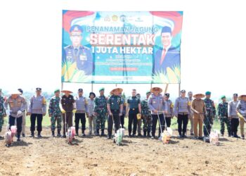 Kapolda Aceh bersama Forkopimda Tanam Satu Juta Hektar Jagung secara Serentak