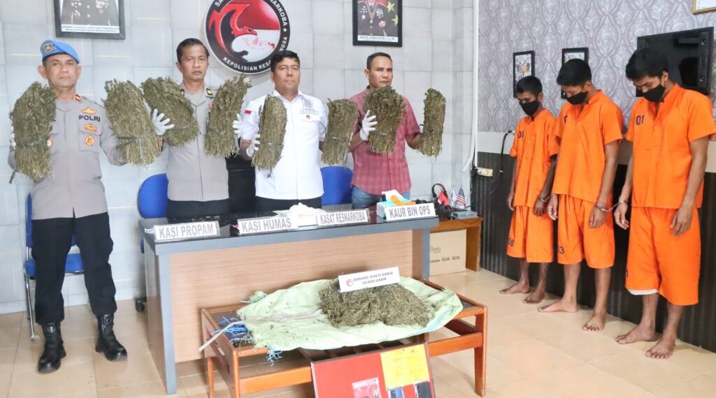 Polres Langsa Amankan 10 Kilogram Ganja, 3 Tersangka Berhasil Ditangkap
