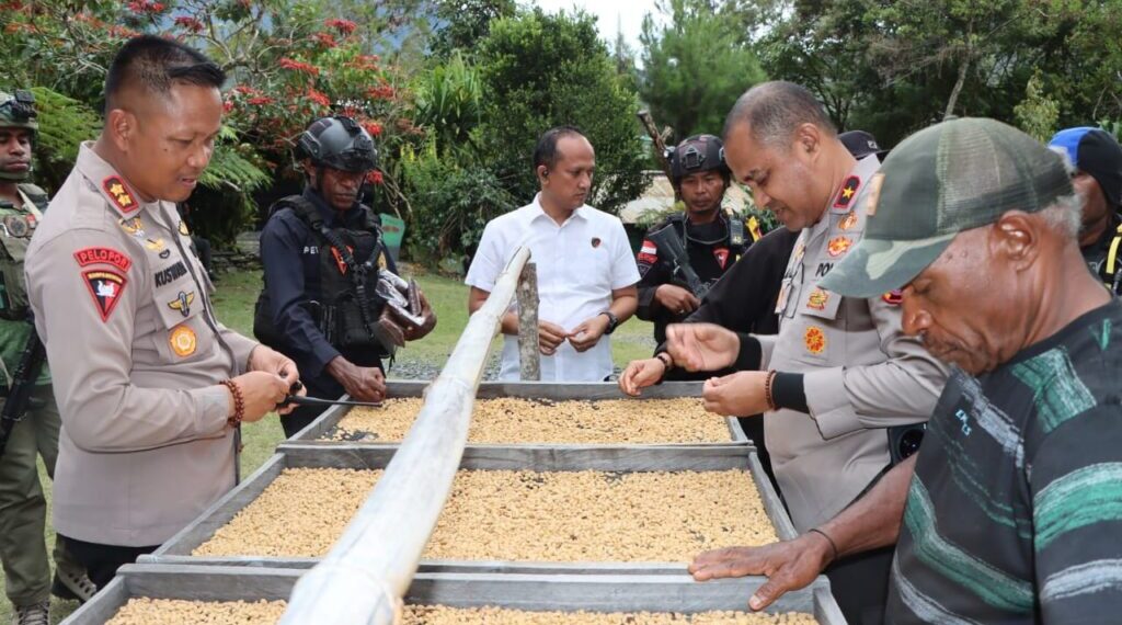 Dukung Perkembangan UMKM, Papua Tengah Kunjungi Perkebunan Kopi Mulia