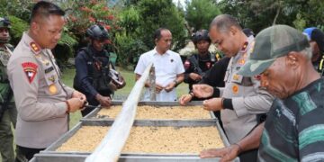 Dukung Perkembangan UMKM, Papua Tengah Kunjungi Perkebunan Kopi Mulia