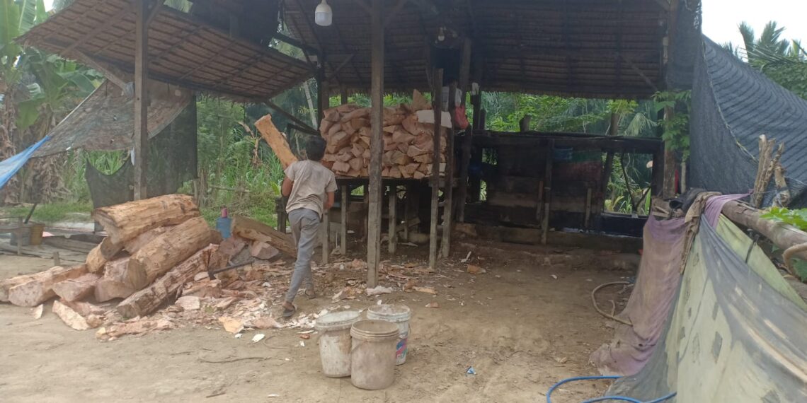 Polisi Datangi Pabrik Sagu di Alue Bilie Rayeuk, Ada Apa?